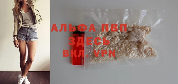 молекула духа Арсеньев